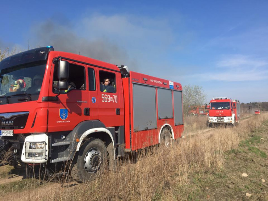 Ogień sieje strach i zniszczenie! Zobacz niesamowite zdjęcia naszych Czytelników