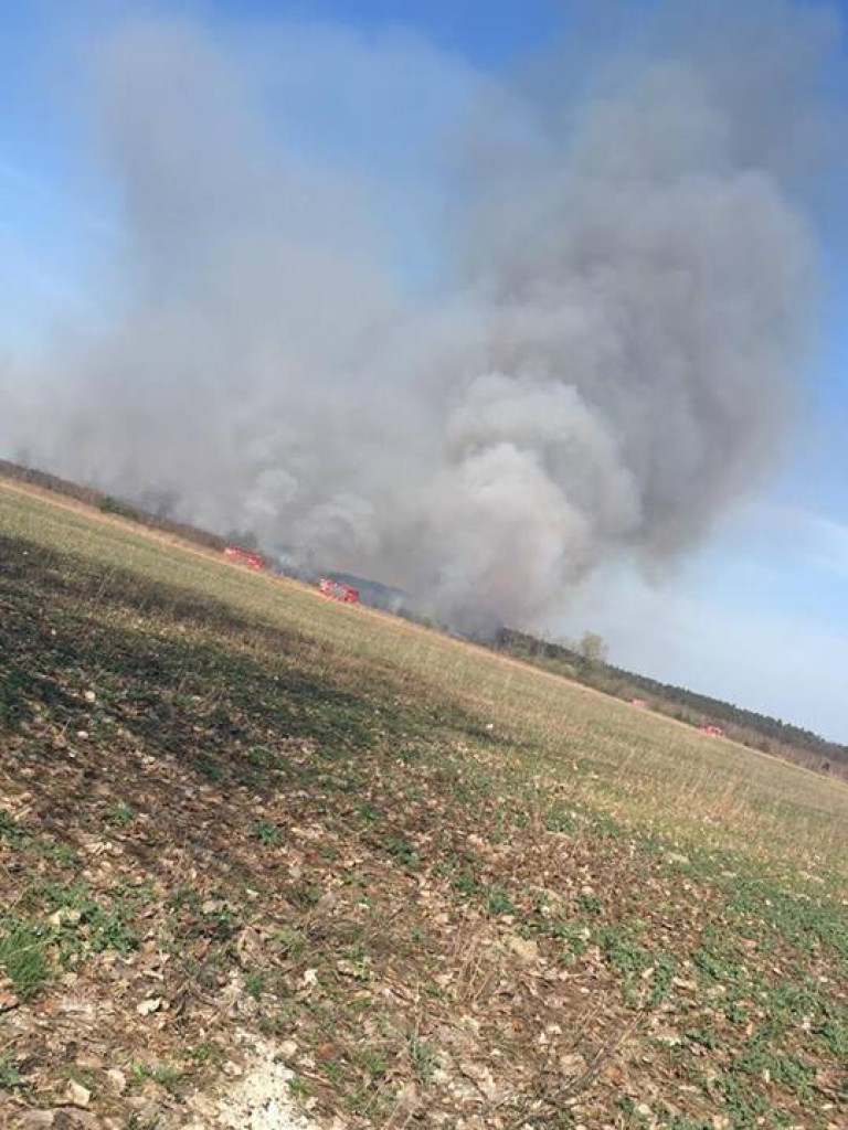 Ogień sieje strach i zniszczenie! Zobacz niesamowite zdjęcia naszych Czytelników