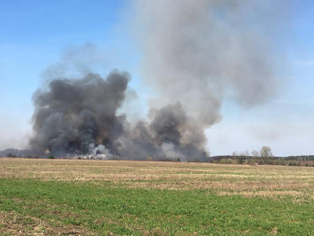 Ogień sieje strach i zniszczenie! Zobacz niesamowite zdjęcia naszych Czytelników