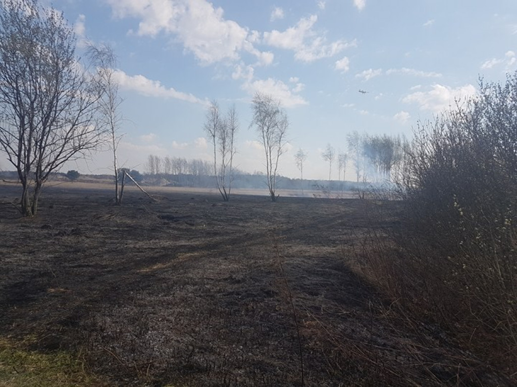 Samolot gaśniczy nad Baniochą