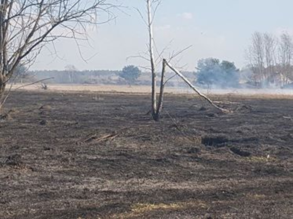 Samolot gaśniczy nad Baniochą
