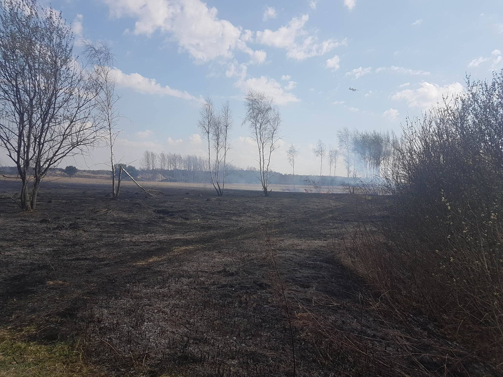 Samolot gaśniczy nad Baniochą