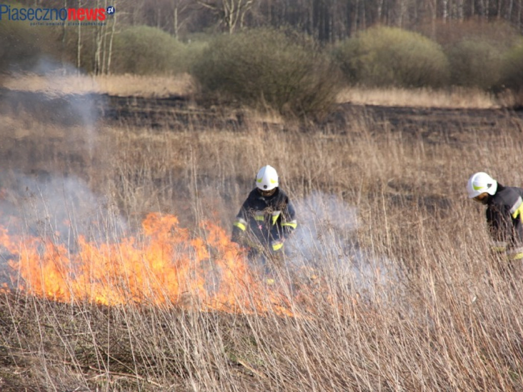 Terroryści piromani i miliony ofiar skazanych na śmierć w płomieniach