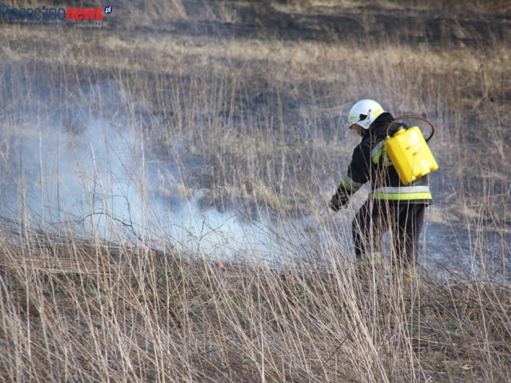 Terroryści piromani i miliony ofiar skazanych na śmierć w płomieniach