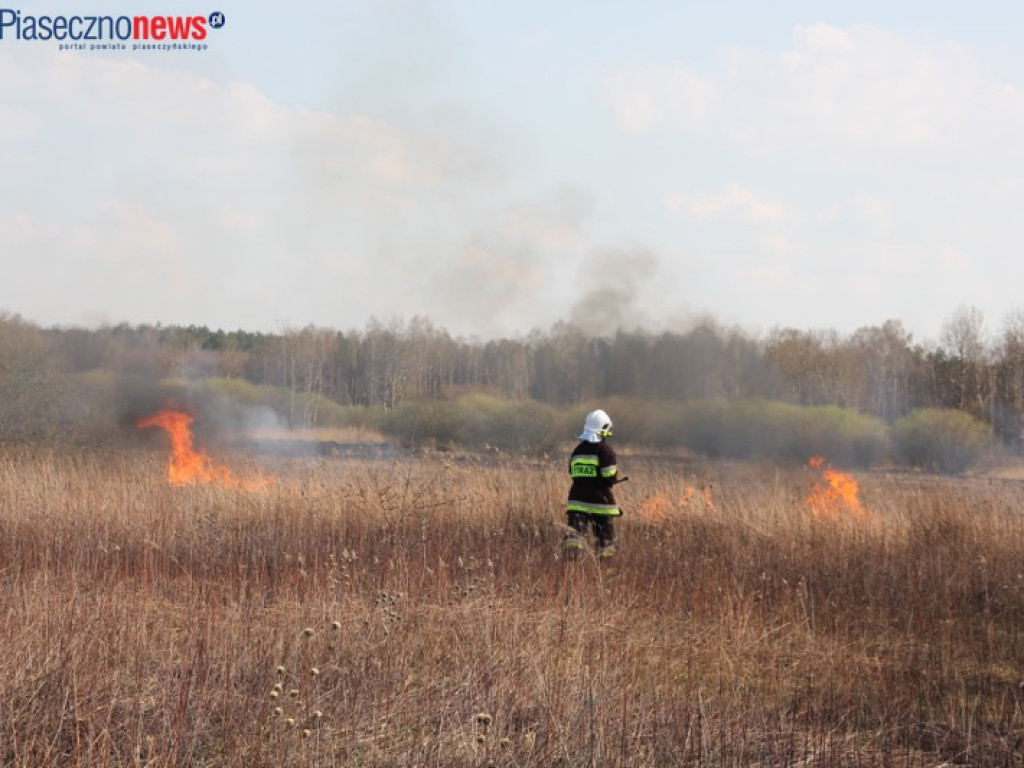 Terroryści piromani i miliony ofiar skazanych na śmierć w płomieniach