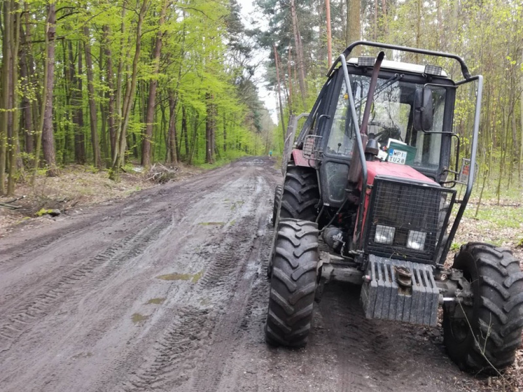 Piękna droga przez las staje się koszmarem