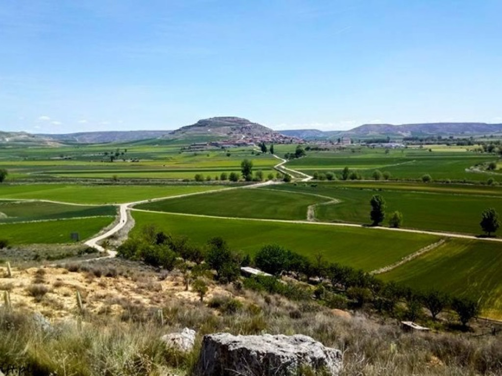 Pieszo w drogę przez życie