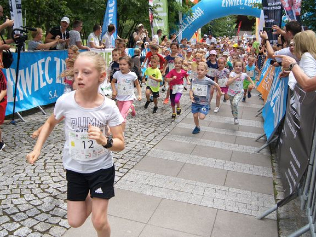 Rekordowa liczba biegaczy i plejada gwiazd sportu oraz małego ekranu