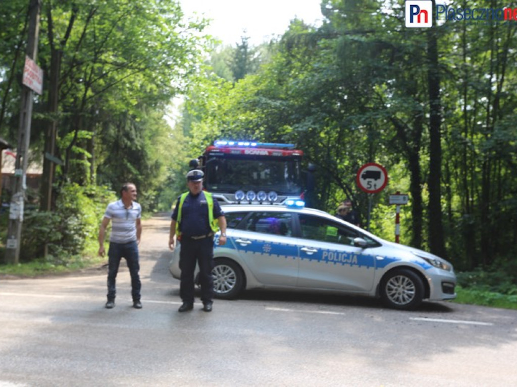 Prowadziła bez prawa jazdy. Droga skończyła się na drzewie