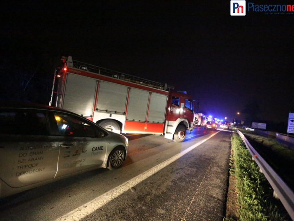 Masakra na Al. Krakowskiej. Samochód zabił 5 dzików!