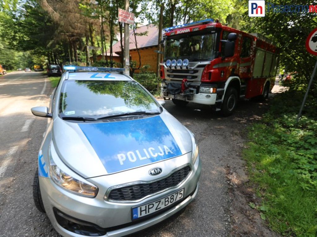 Prowadziła bez prawa jazdy. Droga skończyła się na drzewie