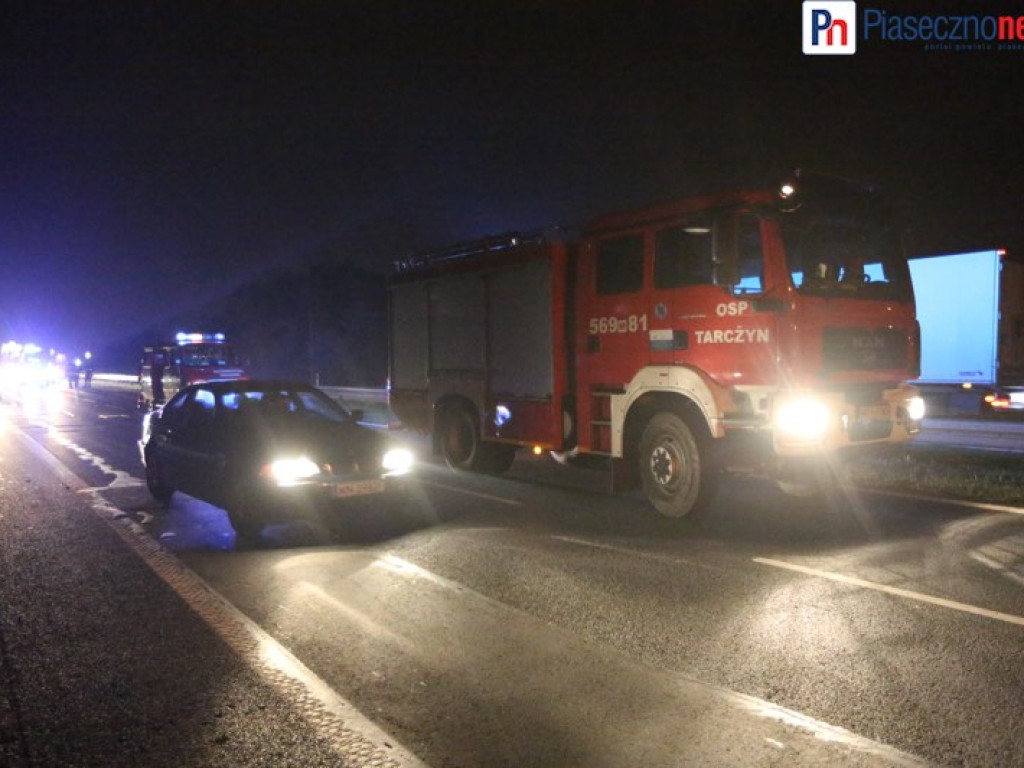 Masakra na Al. Krakowskiej. Samochód zabił 5 dzików!