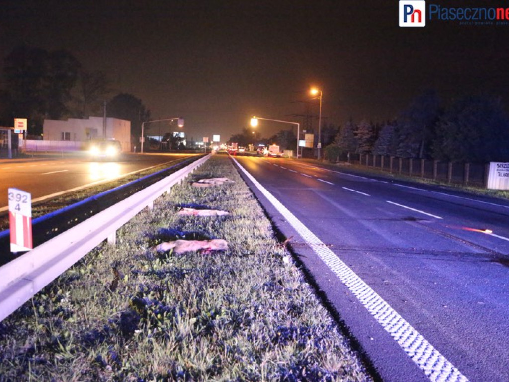 Masakra na Al. Krakowskiej. Samochód zabił 5 dzików!