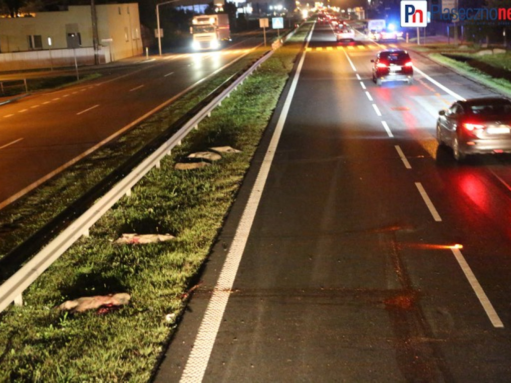 Masakra na Al. Krakowskiej. Samochód zabił 5 dzików!