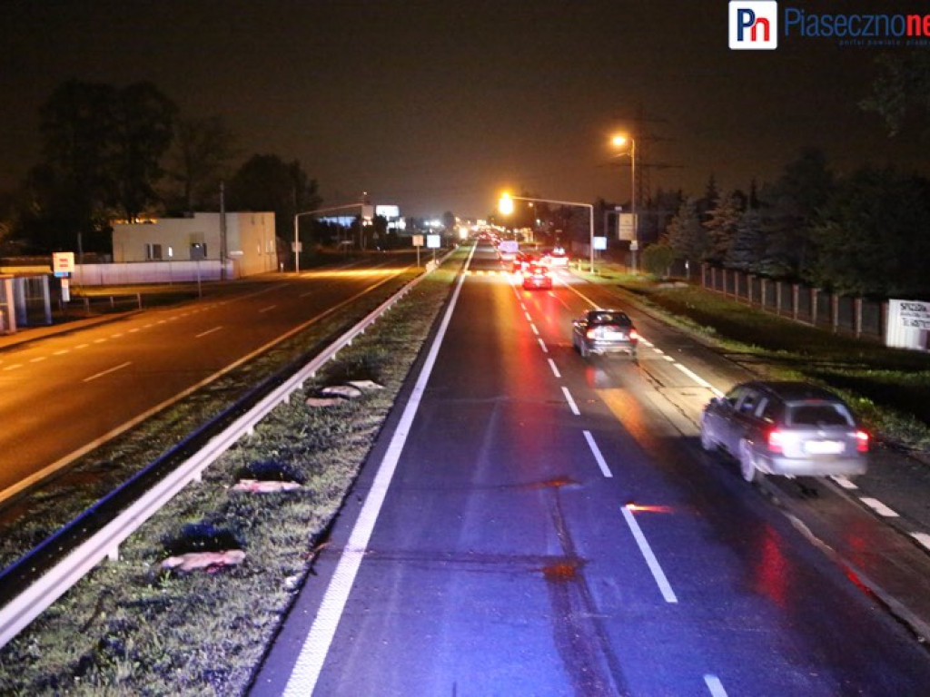 Masakra na Al. Krakowskiej. Samochód zabił 5 dzików!