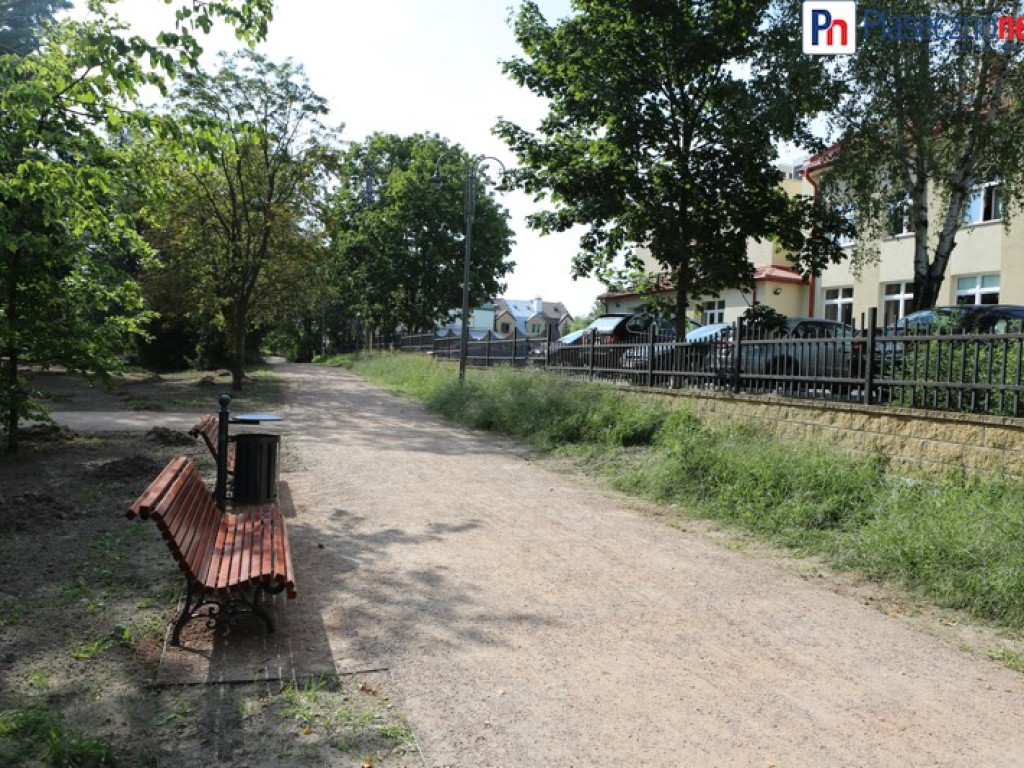Park pięknieje...i budzi kontrowersje