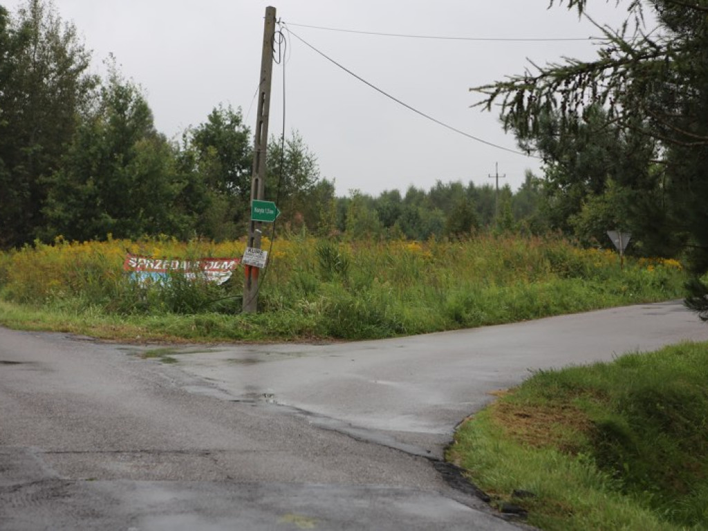 Uciekał przed seicento, skosił słup