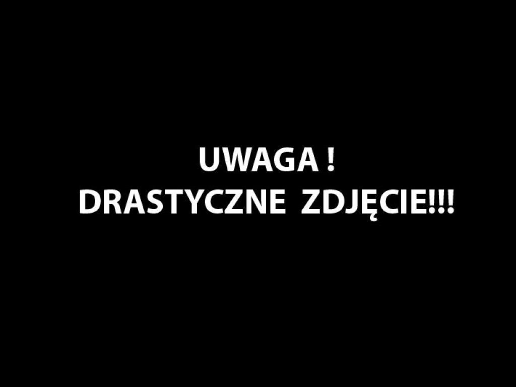 Makabryczne odkrycie w lesie!