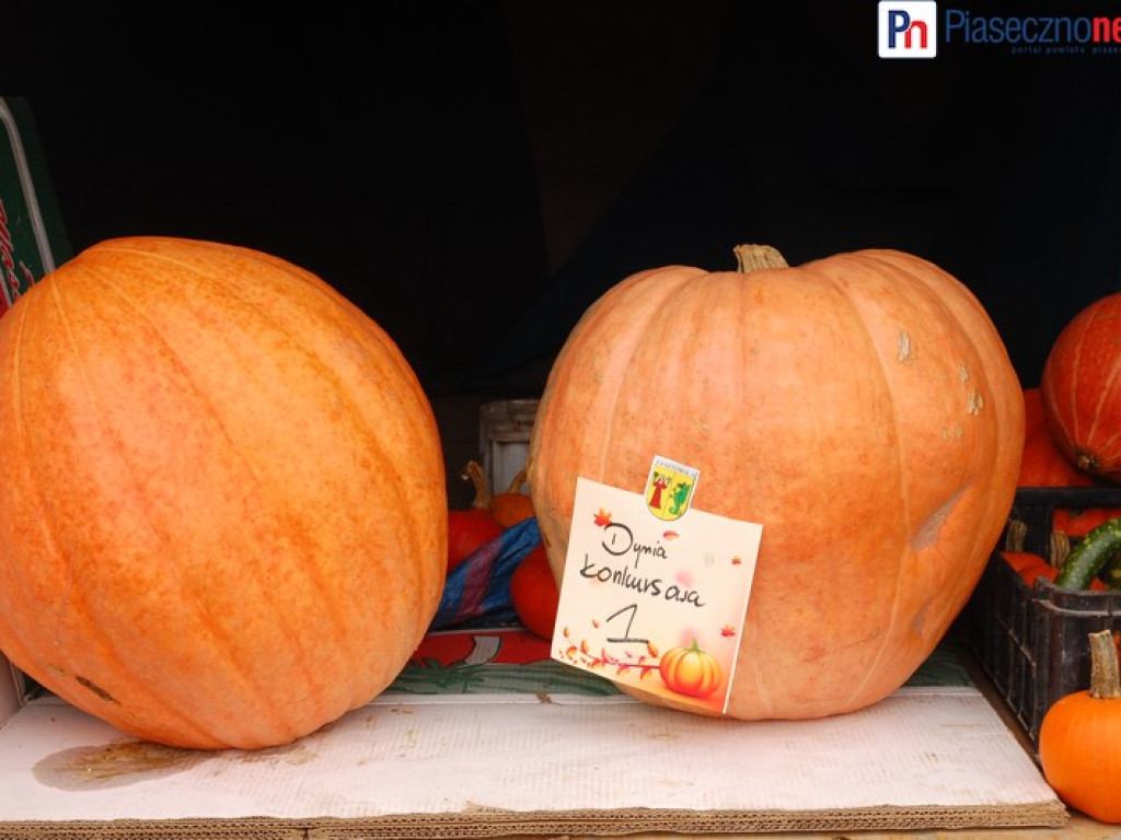 Kolorowe Święto Dyni