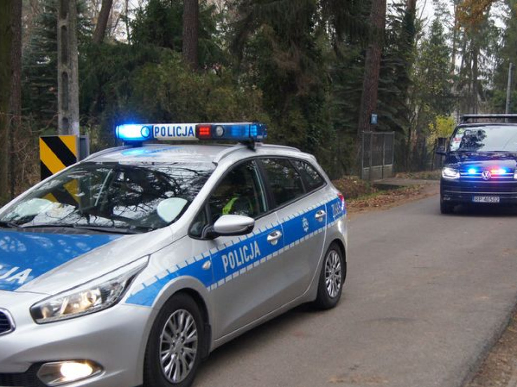 Dąb od prezydenta Gruzji