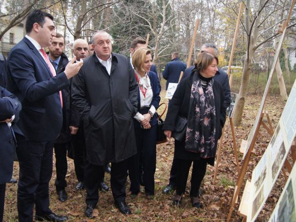 Dąb od prezydenta Gruzji