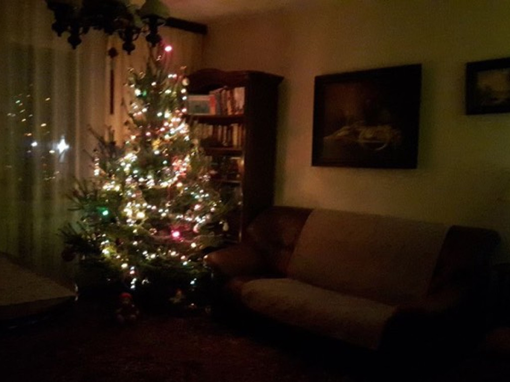 Przepiękne choinki w naszych domach!