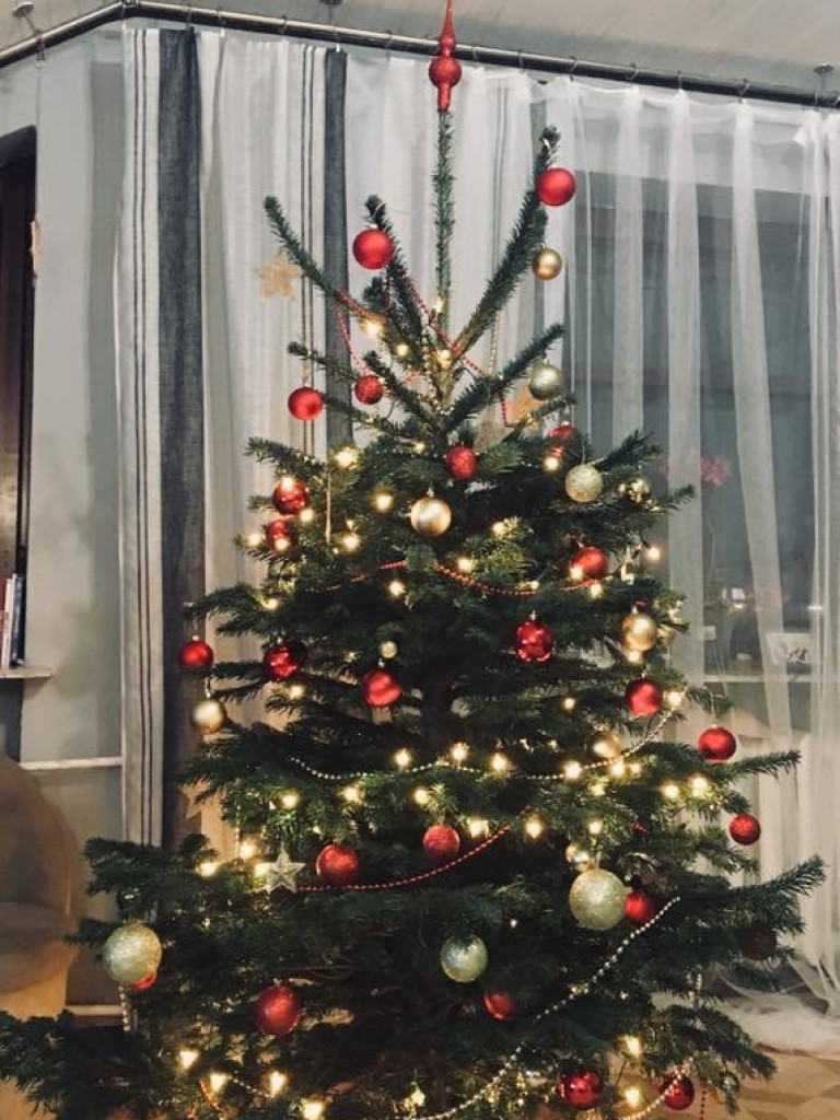 Przepiękne choinki w naszych domach!