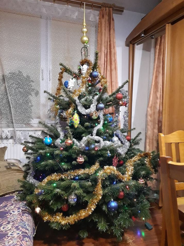 Przepiękne choinki w naszych domach!