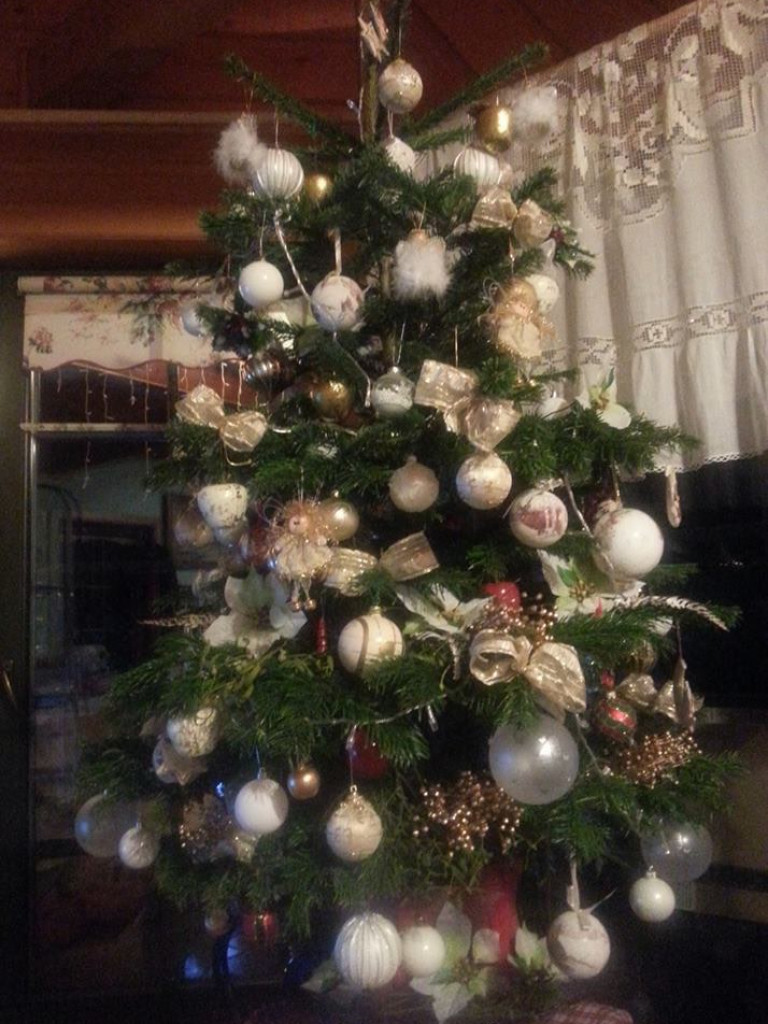 Przepiękne choinki w naszych domach!