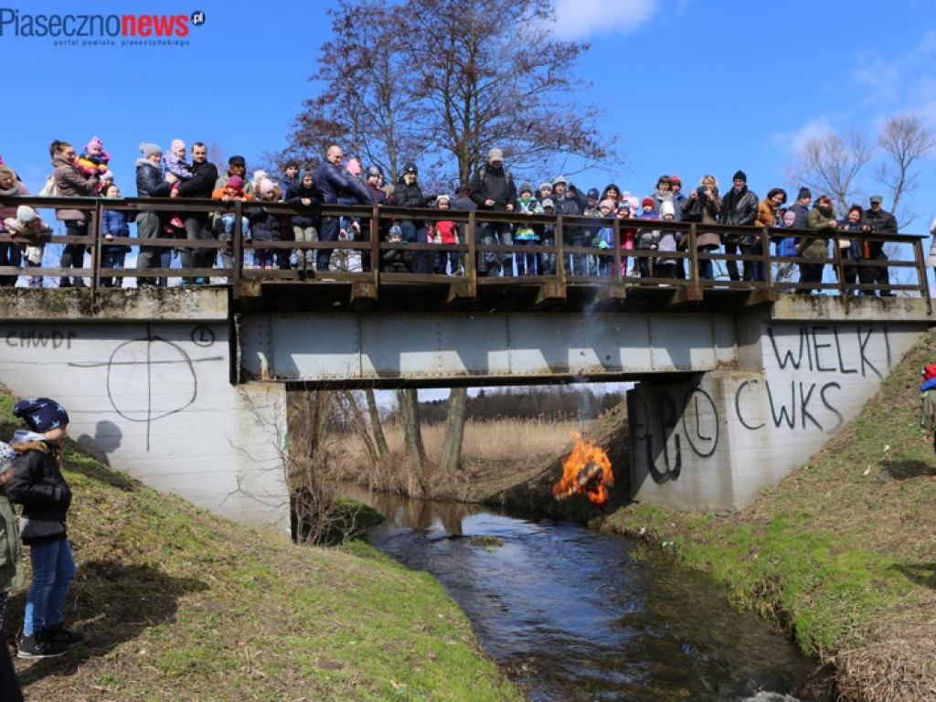 Z kolejką wąskotorową pożegnamy zimę i przywitamy wiosnę