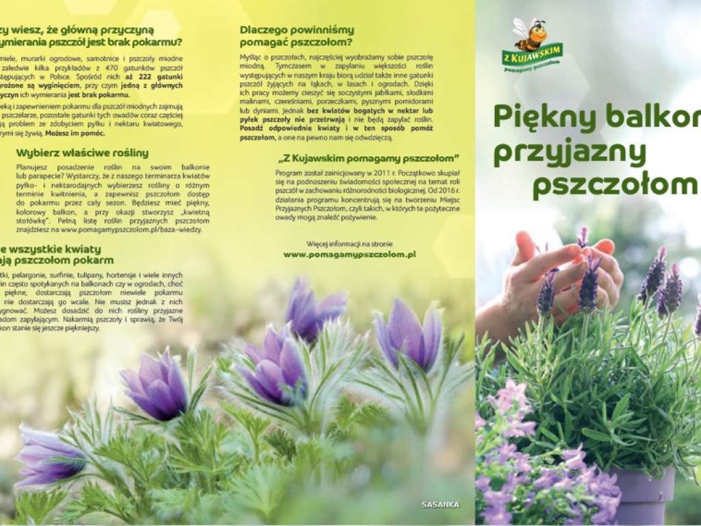 Gmina przyjazna pszczołom