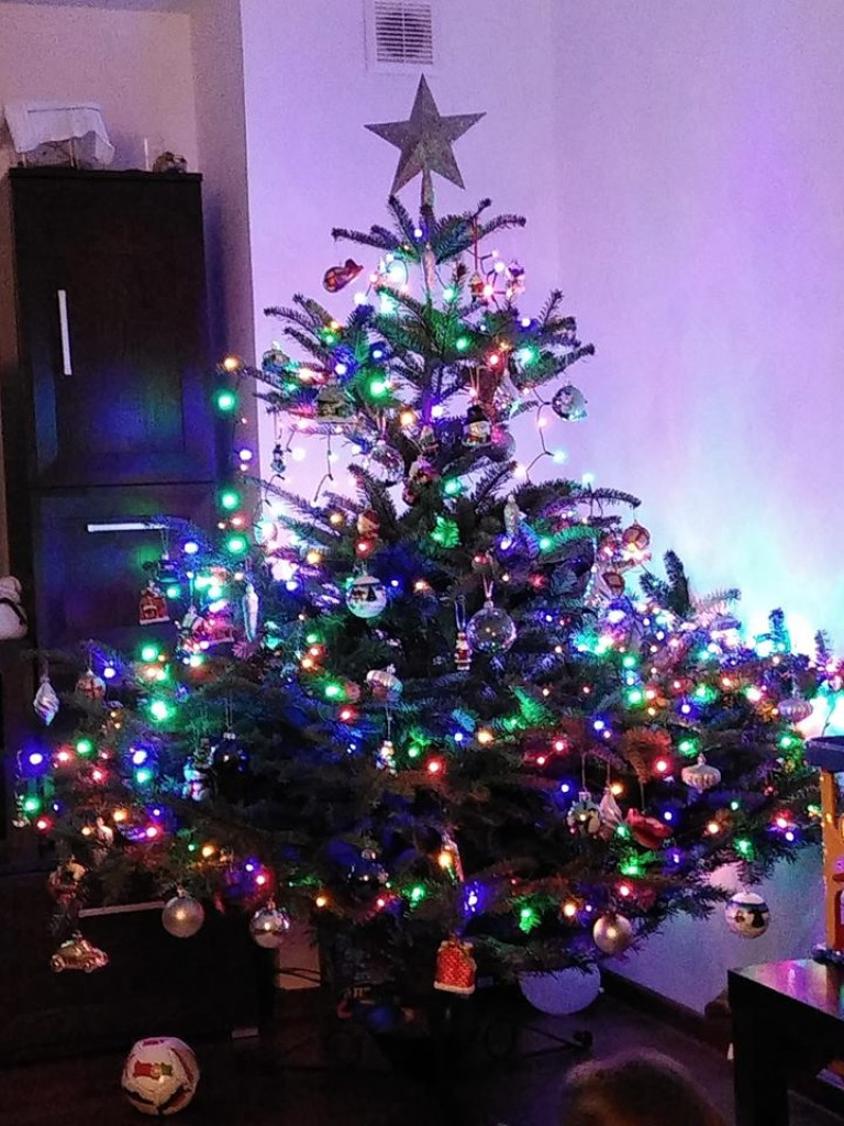 Przepiękne choinki w naszych Czytelników!