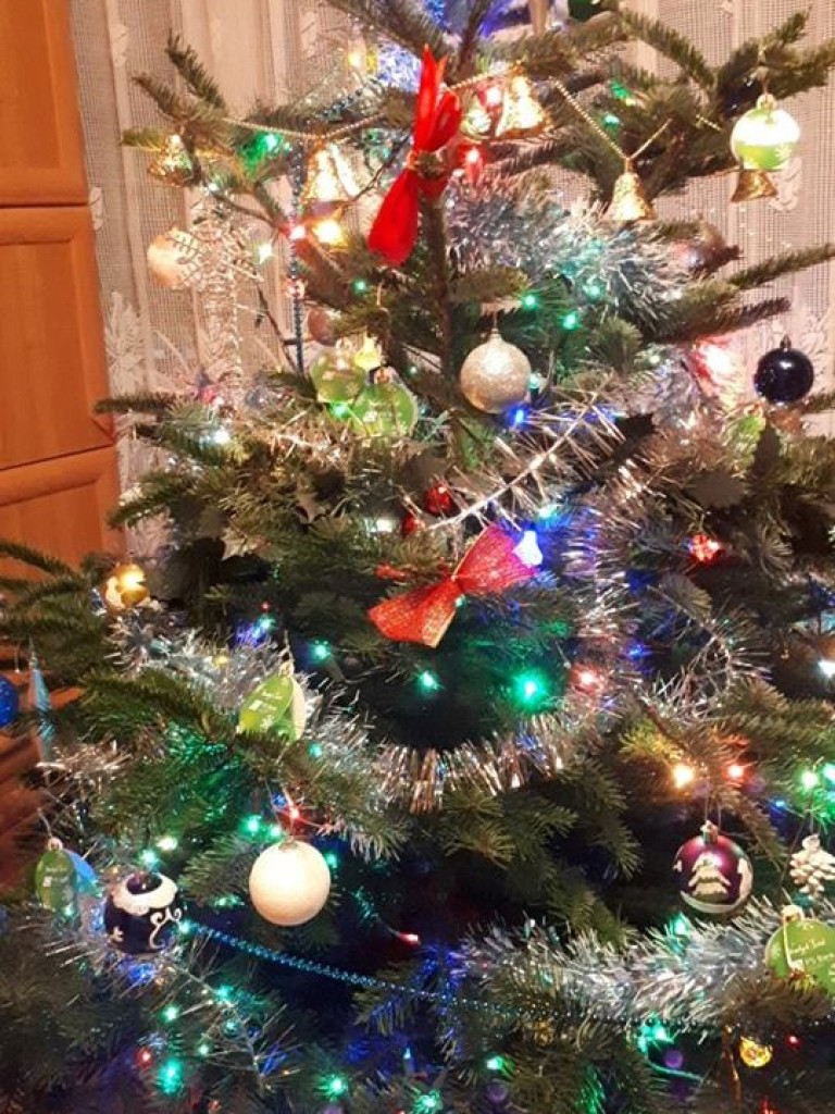 Przepiękne choinki w naszych Czytelników!