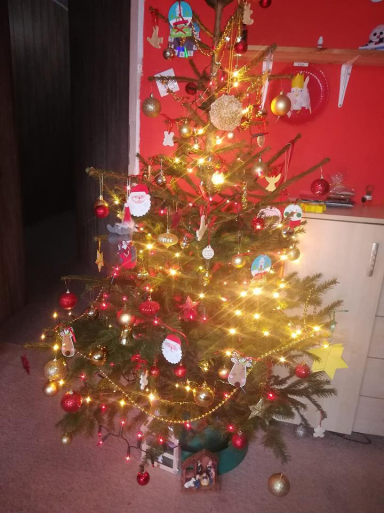 Przepiękne choinki w naszych Czytelników!