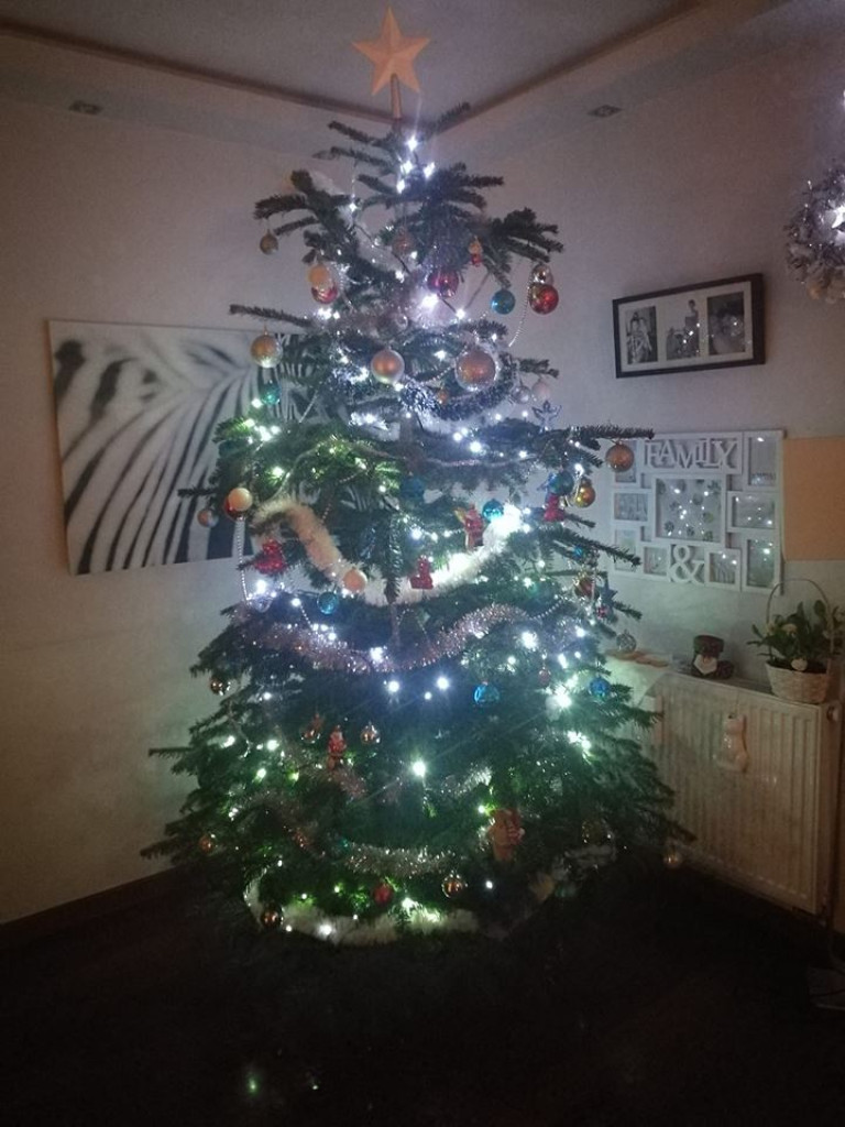 Przepiękne choinki w naszych Czytelników!
