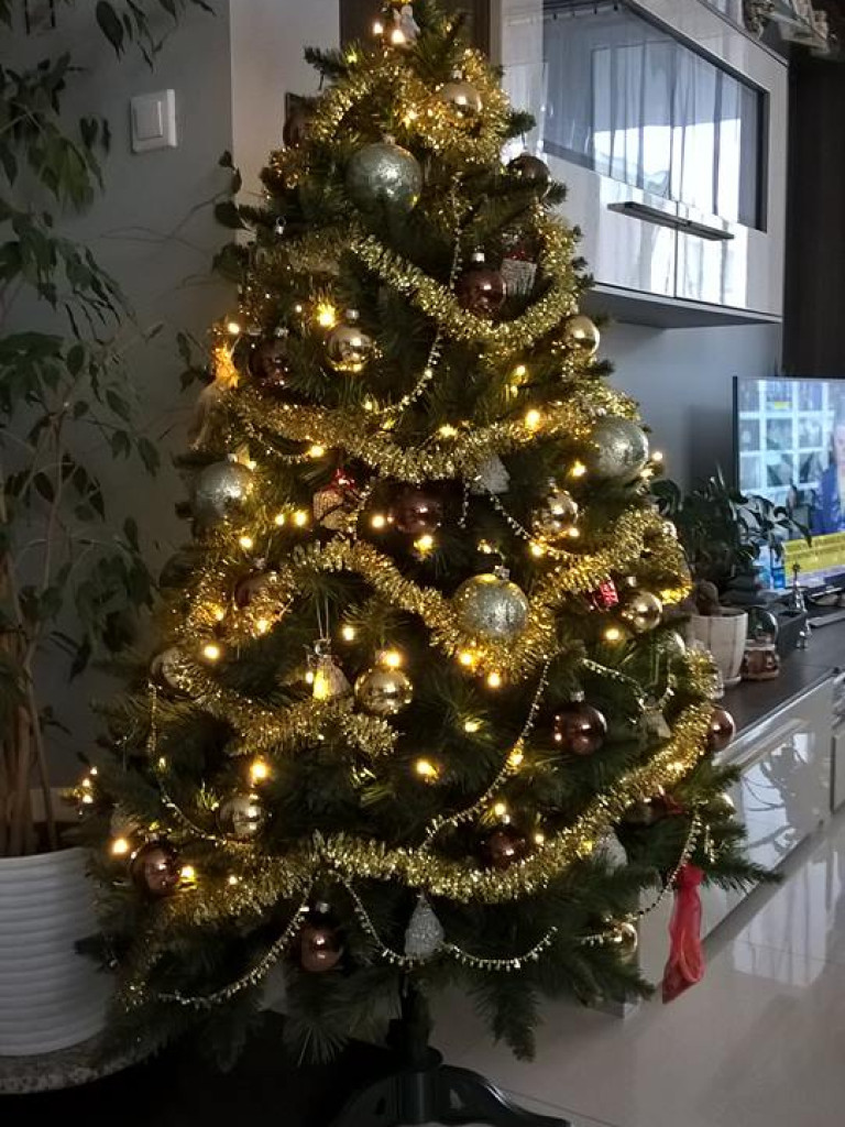 Przepiękne choinki w naszych Czytelników!