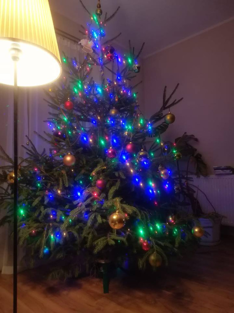 Przepiękne choinki w naszych Czytelników!