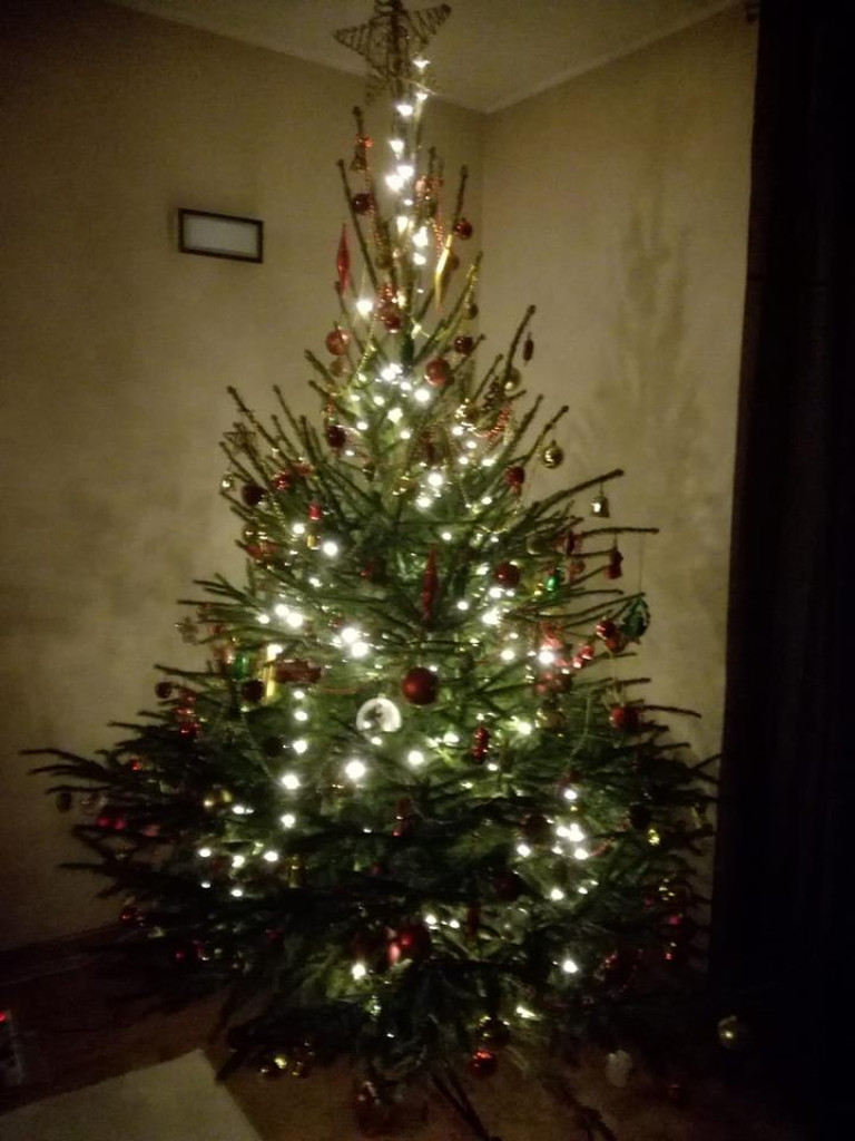 Przepiękne choinki w naszych Czytelników!