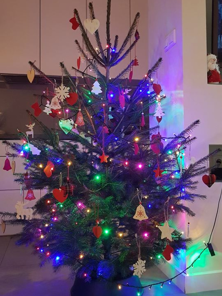 Przepiękne choinki w naszych Czytelników!