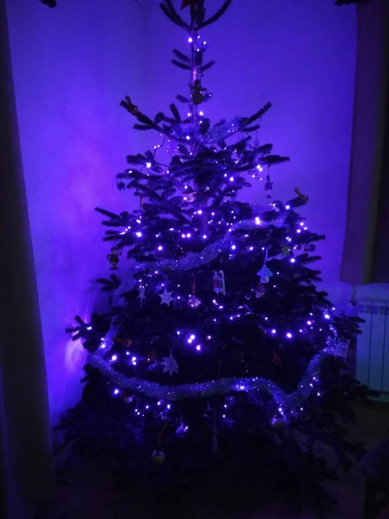 Przepiękne choinki w naszych Czytelników!