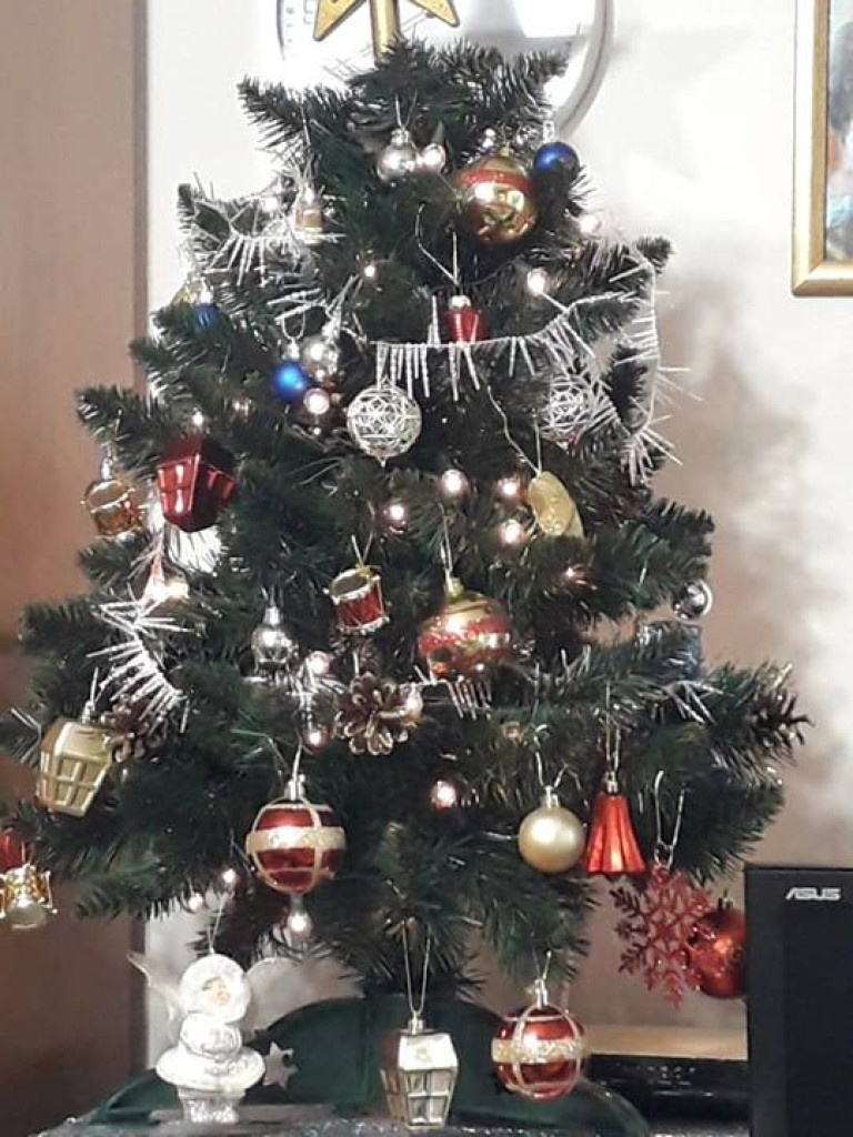 Przepiękne choinki w naszych Czytelników!