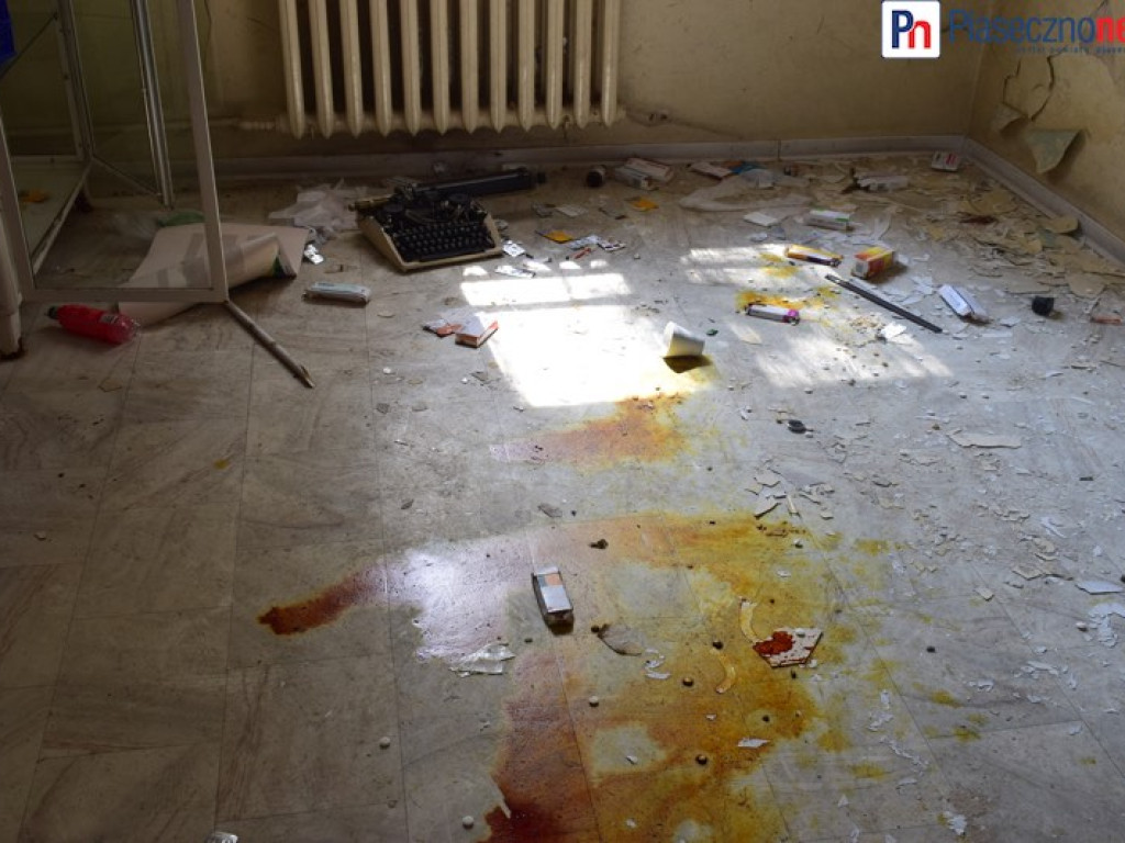 Dworek Ryxów popada w ruinę