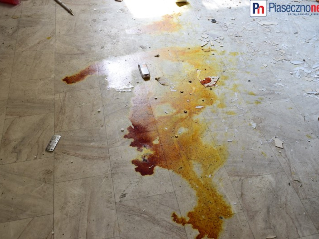 Dworek Ryxów popada w ruinę