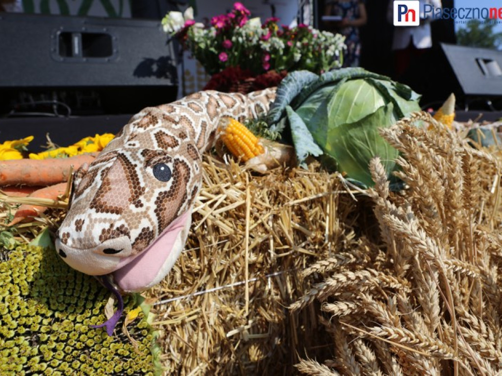 W hołdzie tradycji, w podziękowaniu dla rolników