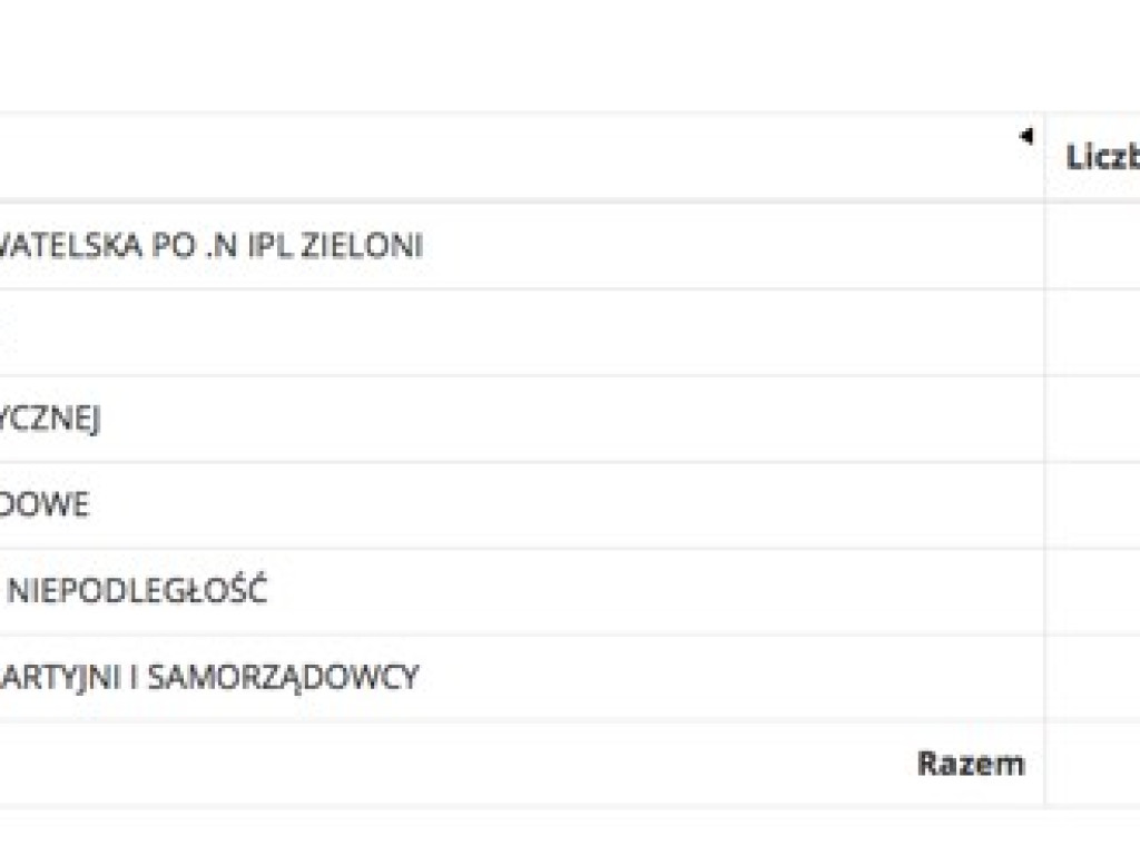 Znamy wyniki wyborów w powiecie piaseczyńskim! Zobacz jak głosowano w poszczególnych gminach