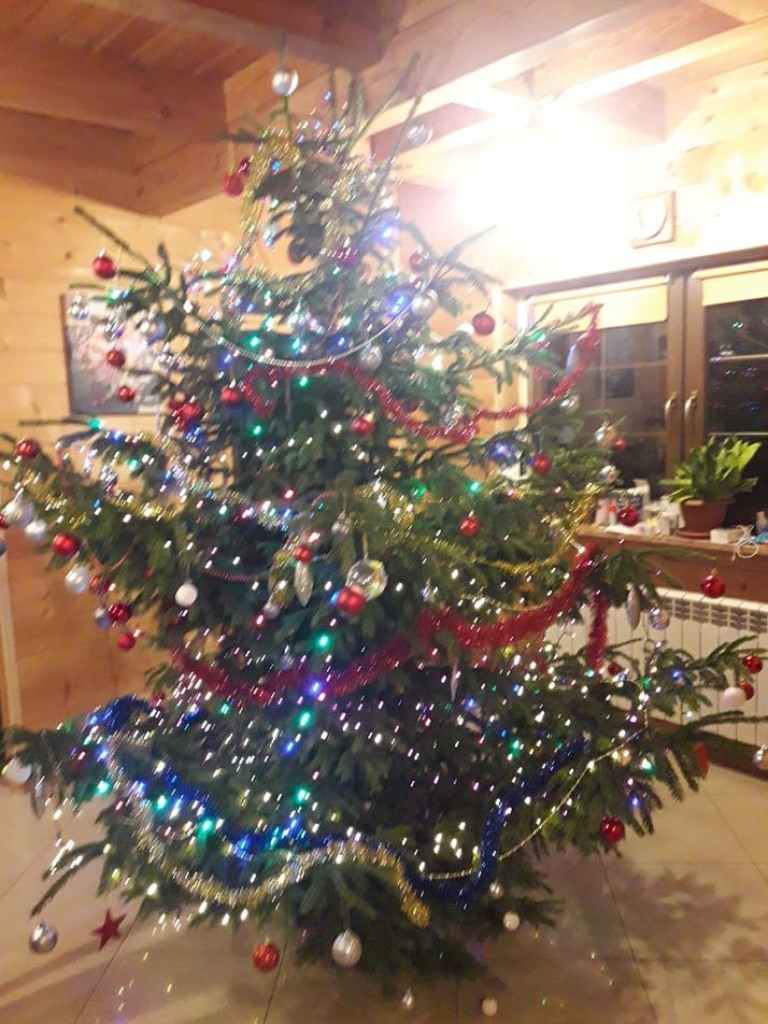 Przepiękne choinki naszych Czytelników