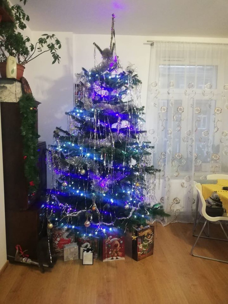 Przepiękne choinki naszych Czytelników