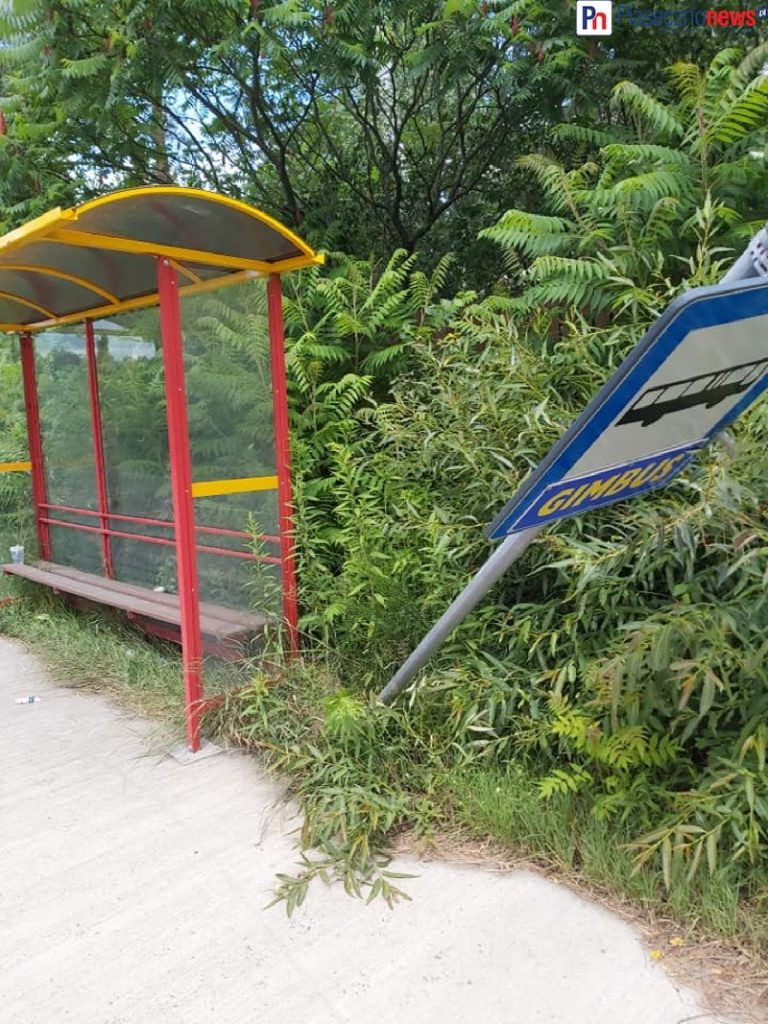 Wandale poprzewracali znaki! Szli ulicą jak stonka przez pole ziemniaków