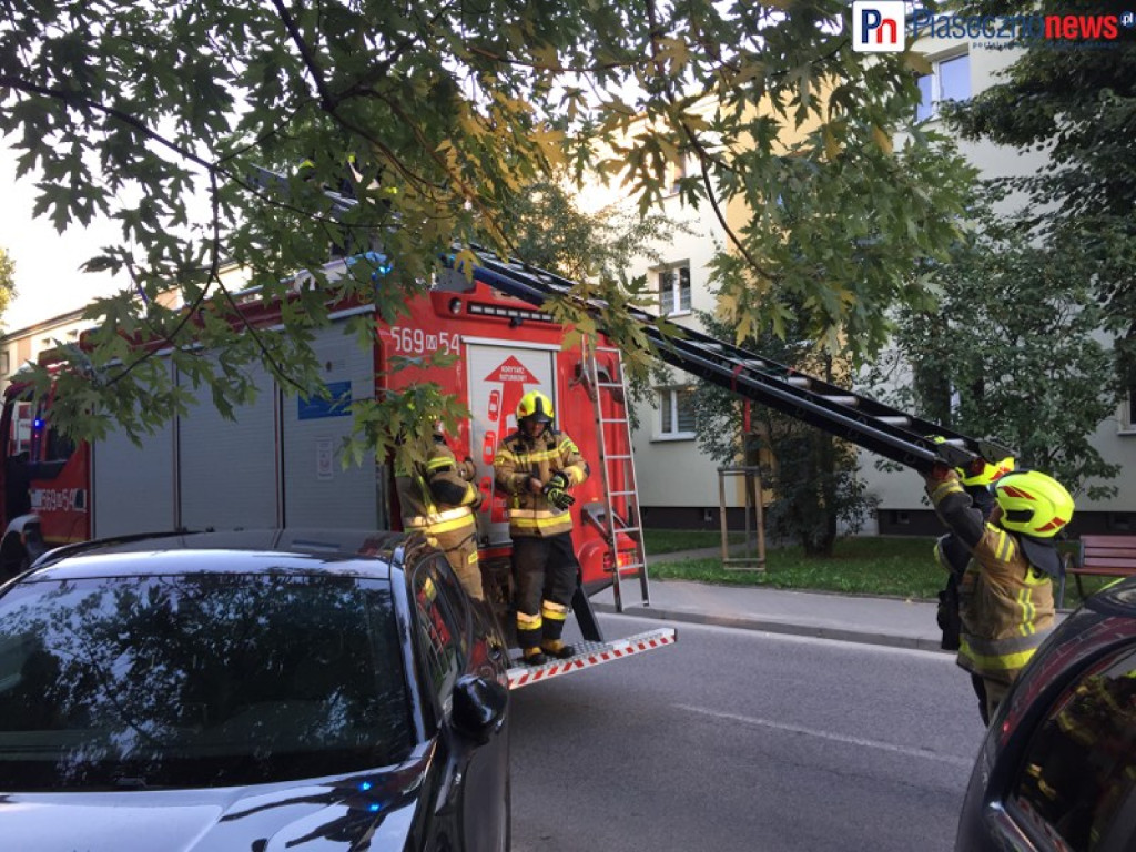Strażacy weszli oknem