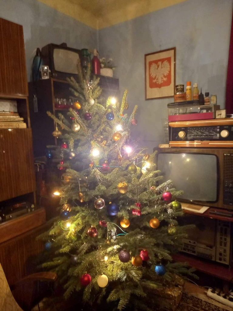 Wasze wspaniałe choinki, podziwiajcie! Odszukajcie swoją